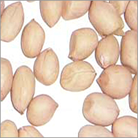 Roasted Peanuts