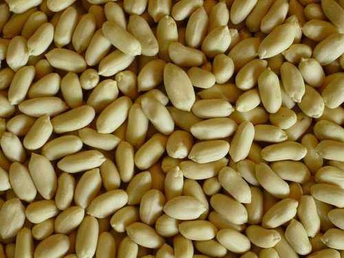 Roasted Salted Blanched Peanuts