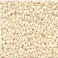 Hulled Sesame Seed