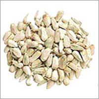 White Safflower Seeds