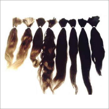 Human Hair Wigs