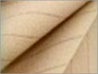Radiation Safe Fabric