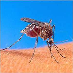 Organic Mosquito Repellent