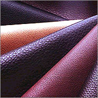 Shoe Leather
