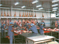 Frozen Buffalo Carcasses