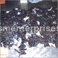 Collection of Human Hair