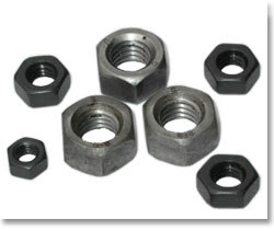 Hex Nuts
