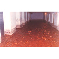 Bysacki Seedlac