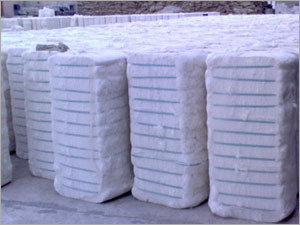 Cotton Bales
