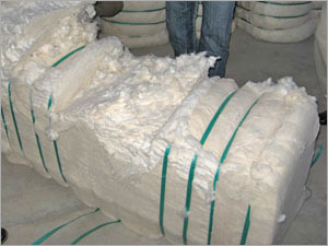 Raw Cotton Bales V 797