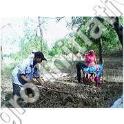 Bio Pesticides