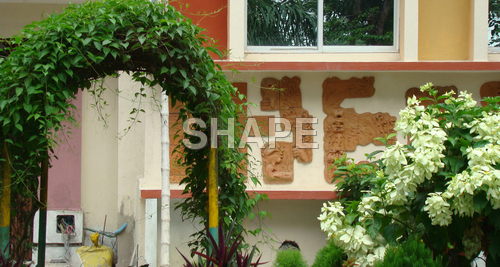 Terracotta Wall Tiles