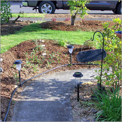Portable Sprinkler