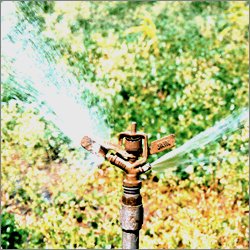 Sprinkler