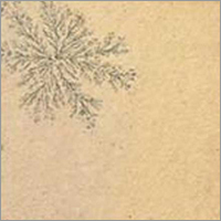 Fossil Sandstone