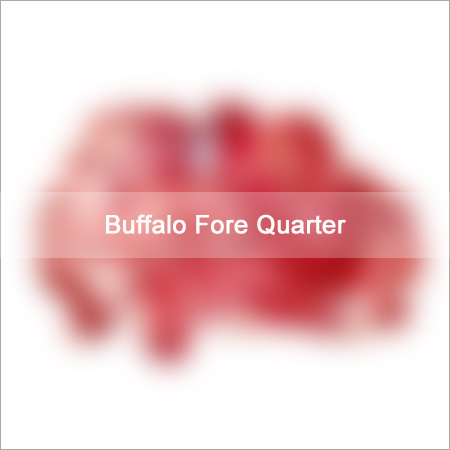 Buffalo Fore Quarter