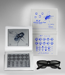 Stereo Fly With Lea Symbols
