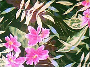 100 % Georgette Flower Print