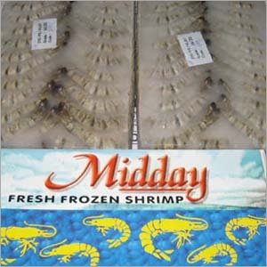 Frozen Shrimps
