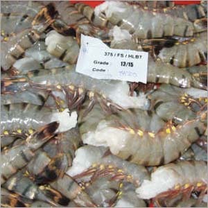 Raw Shrimps