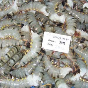 Raw Shrimps