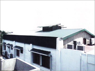 Steel Roofing