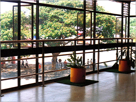 Stainless Steel Railings