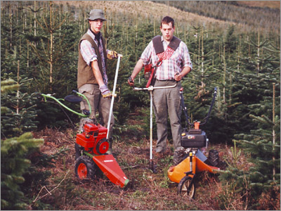 Tree Care