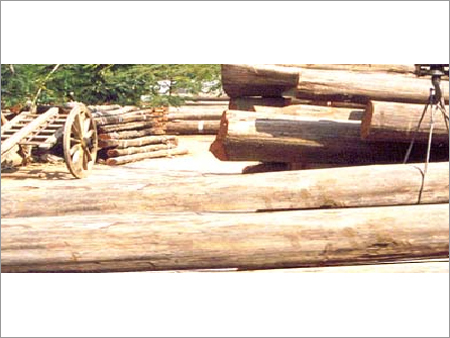 Non Teak Wooden logs