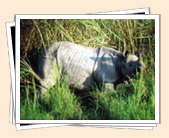 North East Tour Packages