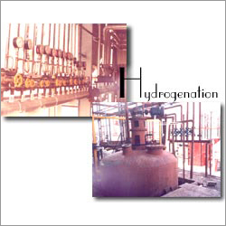 Industrial Hydrogenation Plant