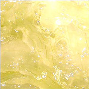 Aloe Vera Gel