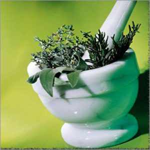 Herbs