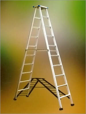 Self Support Ladder with Platform (Double)