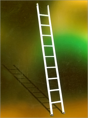 Aluminium Wall Support Ladder