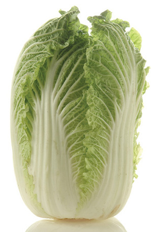 Chinese Cabbage