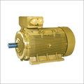 TEFC Squirrel Cage Induction Motor