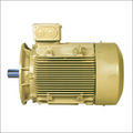 Crane & Hoist Duty Squirrel Cage Induction Motor