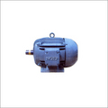 Standard Squirrel Cage Motor