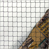 Chain Link
