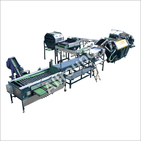 Integrated Vegetable Processing Line 