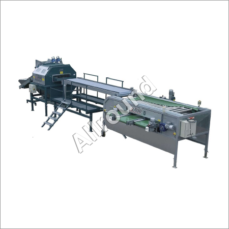 Onion Processing Line
