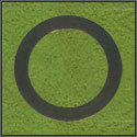 Reinforced Gaskets