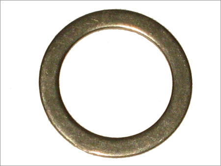 SS Plain Washer