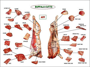 Buffalo Cuts