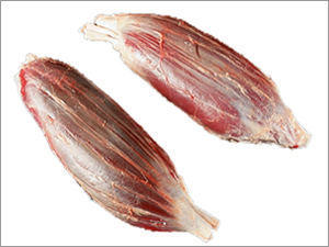 Frozen Beef Buffalo Meat