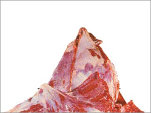Frozen Meat