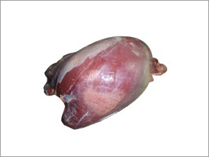Frozen Meat