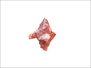 Frozen Meat