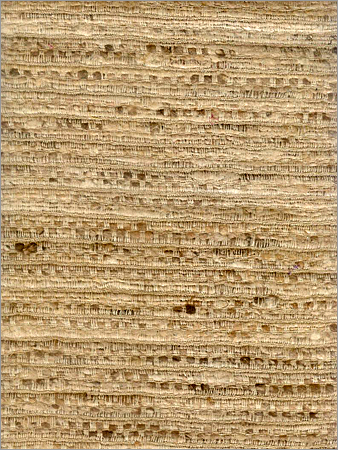 Noil Fabric